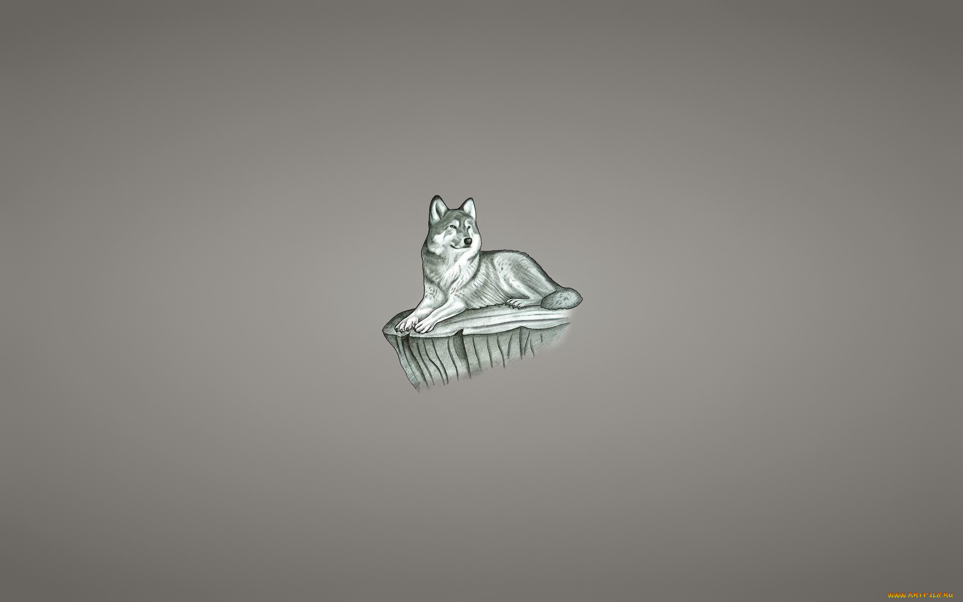 , , ,  , , wolf